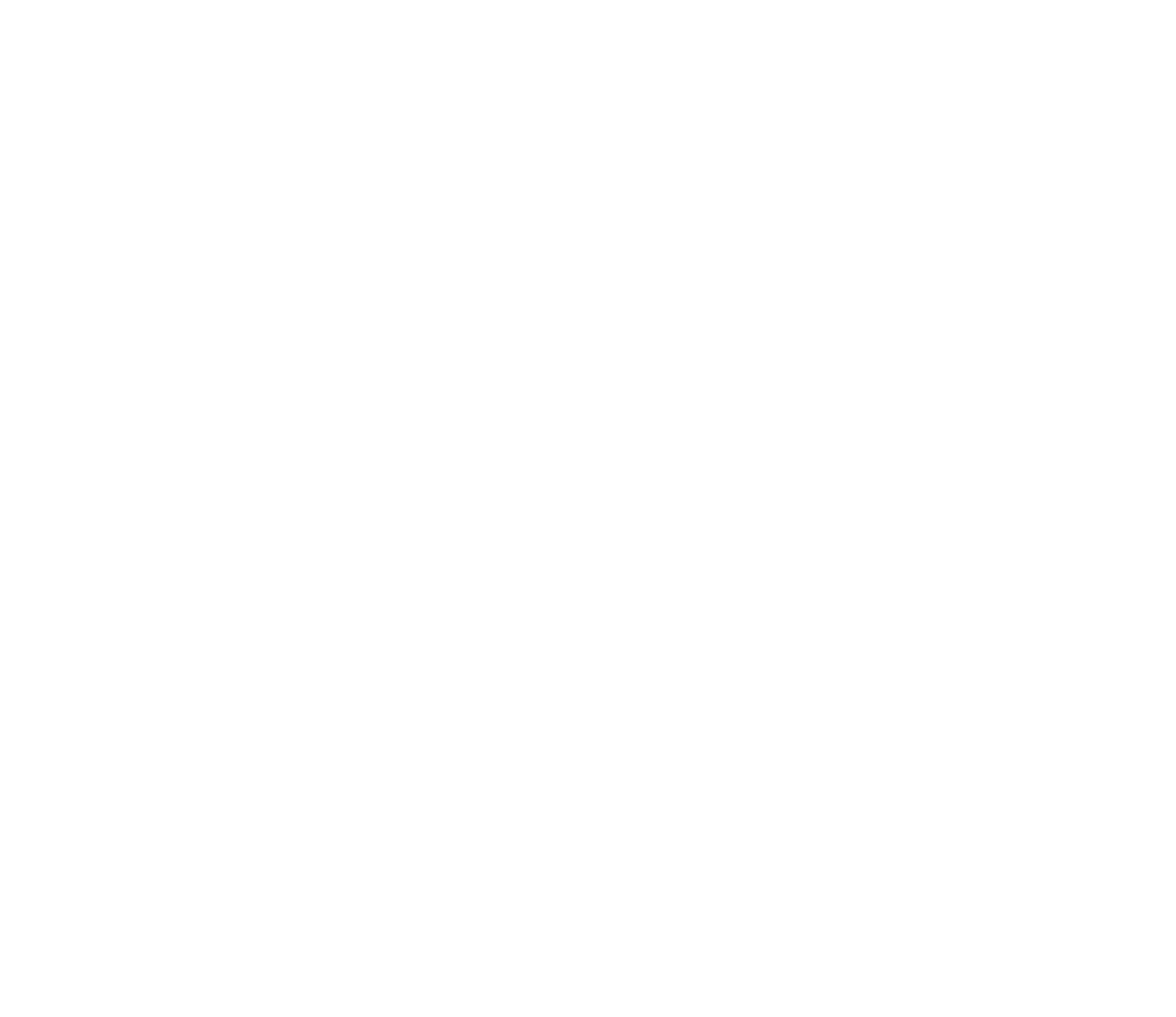 Logo completo